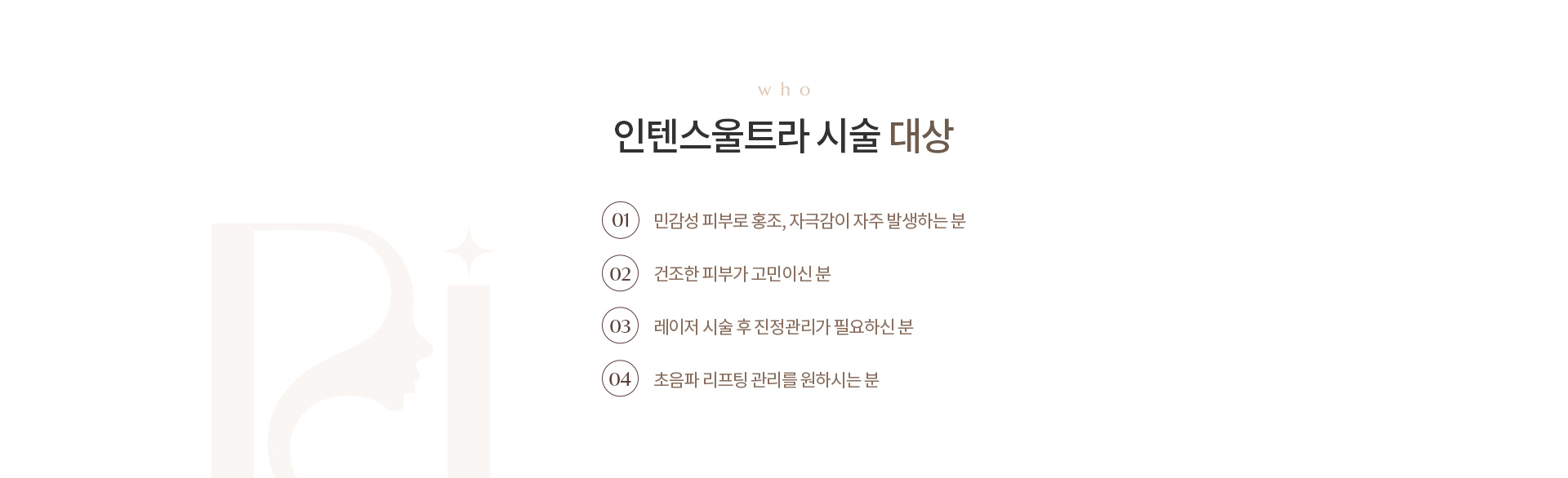 인텐스 울트라 상세01