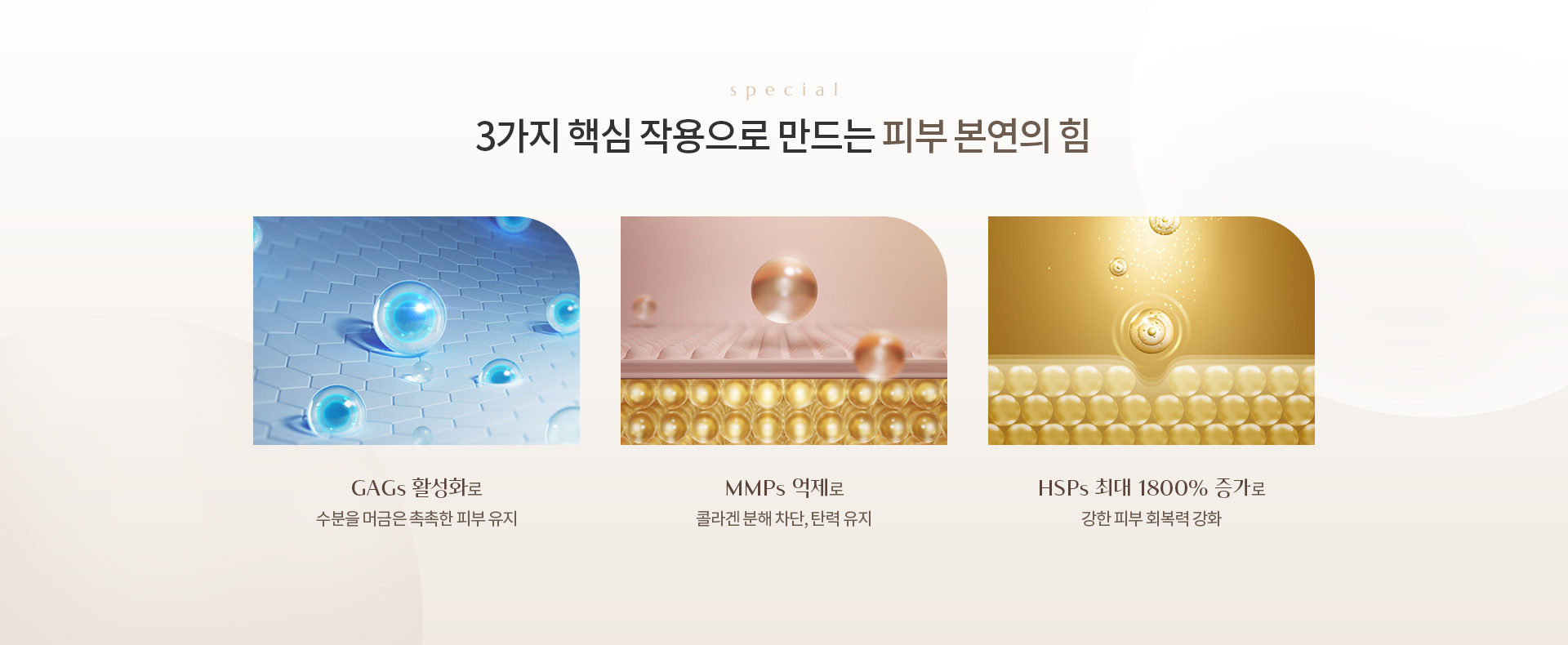 인텐스 울트라 상세03