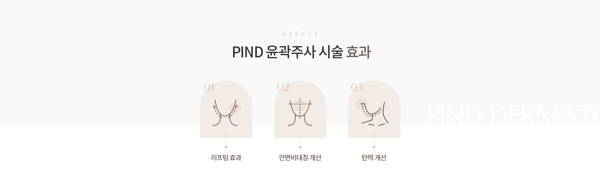 PIND 윤곽주사 상세02