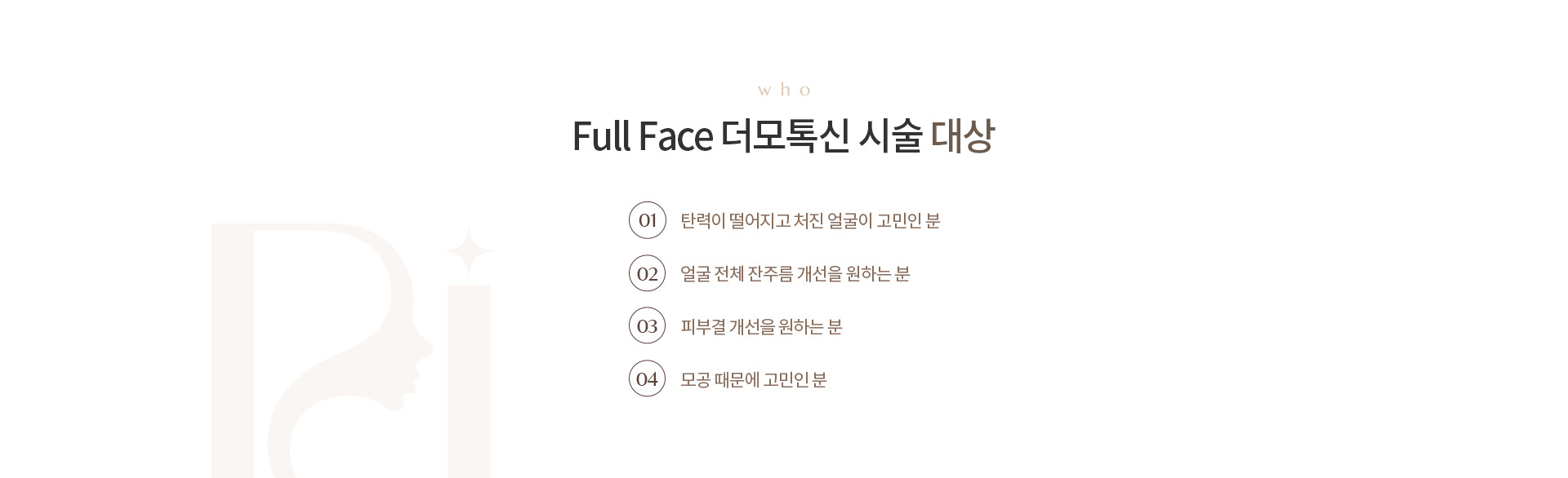 Full Face 더모톡신 상세01