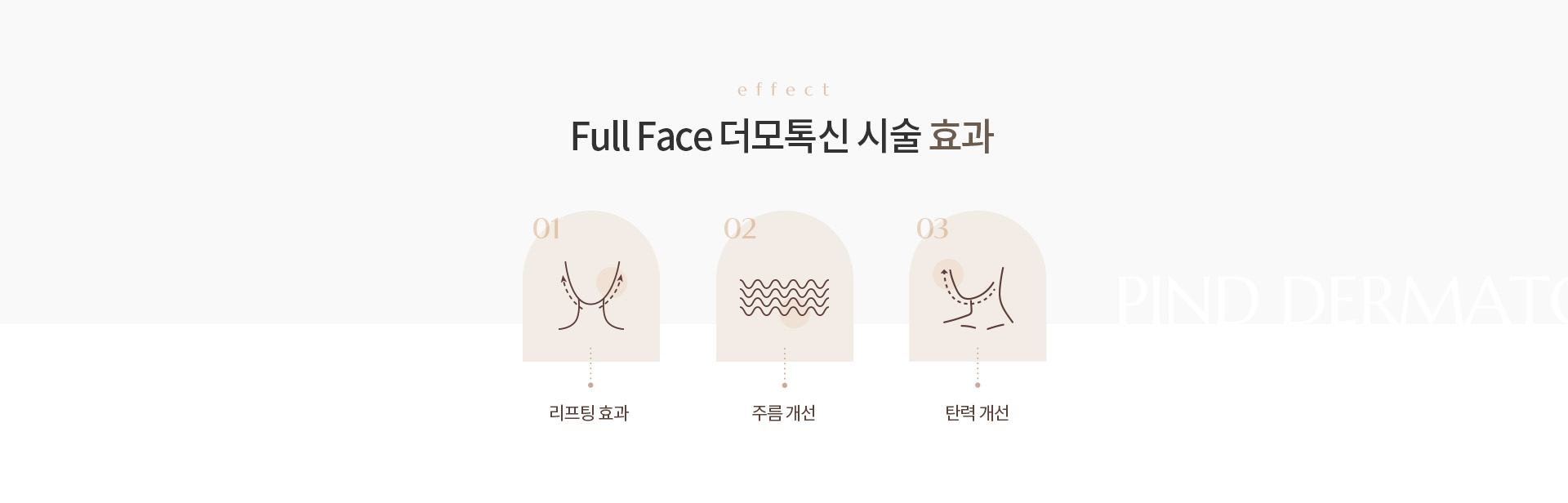 Full Face 더모톡신 상세02