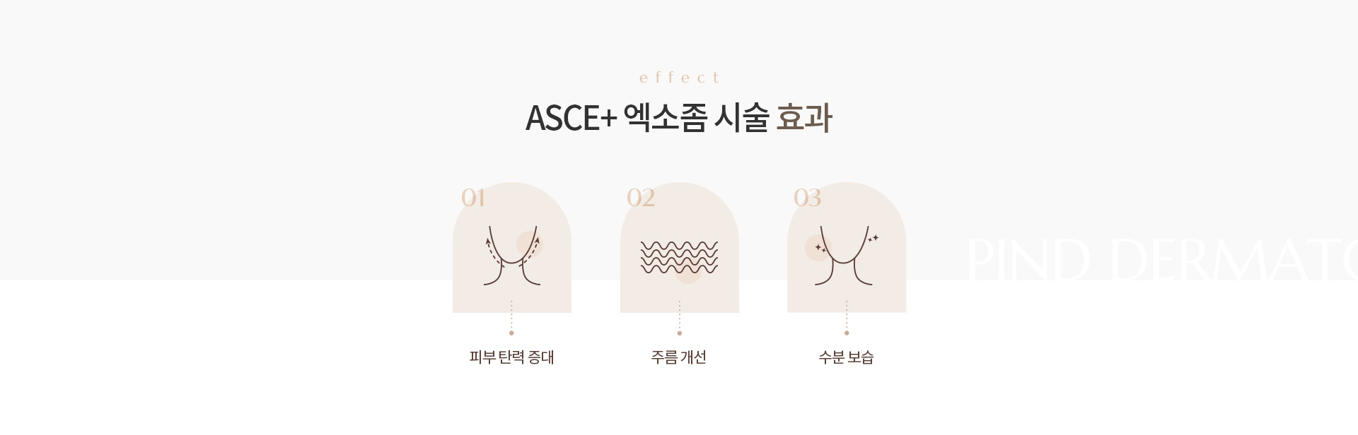 ASCE+ 엑소좀 상세02