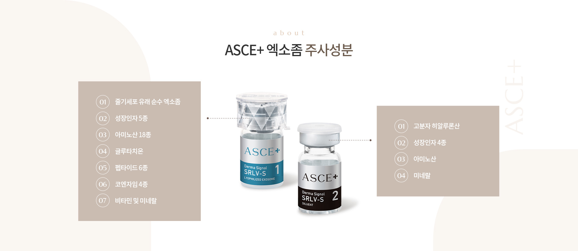 ASCE+ 엑소좀 상세04