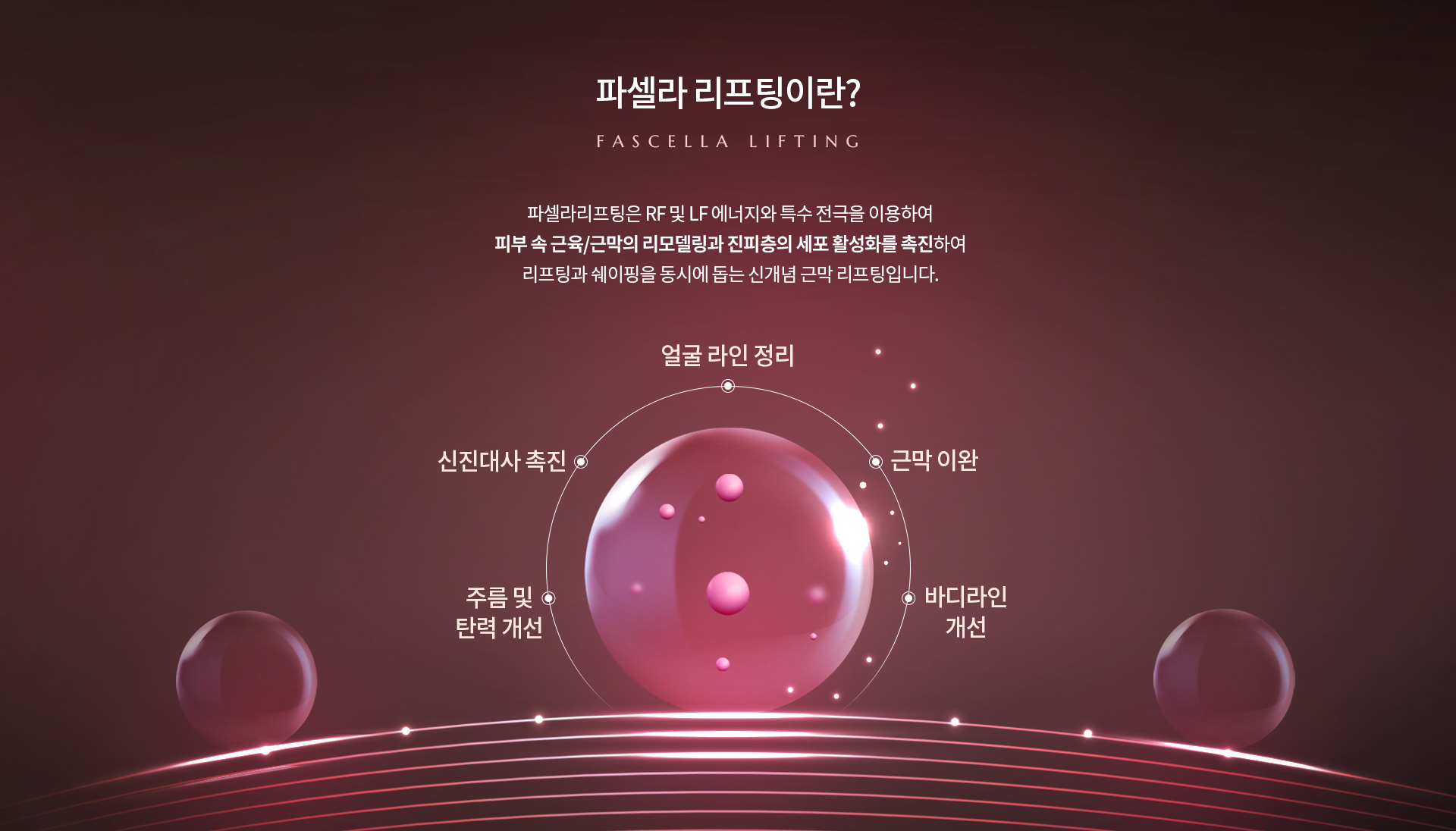 파셀라 리프팅 상세02