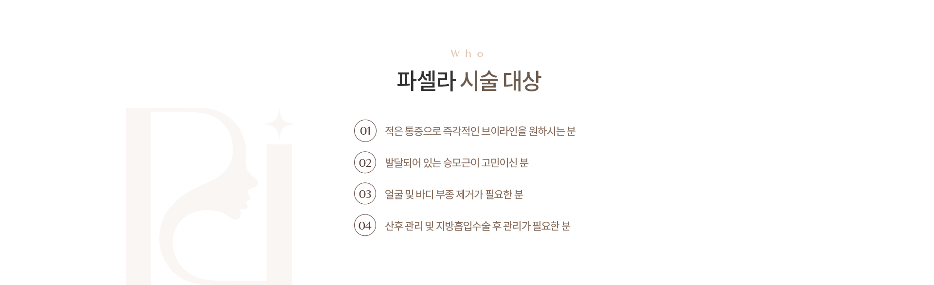 파셀라 리프팅 상세04