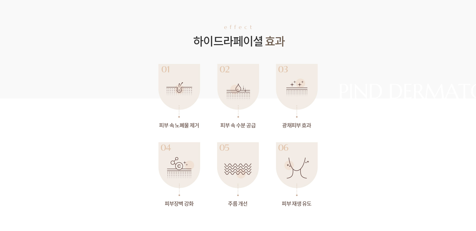 하이드라페이셜 상세05