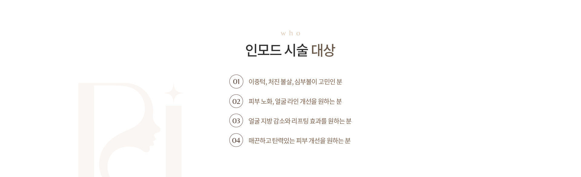 인모드 리프팅 상세01