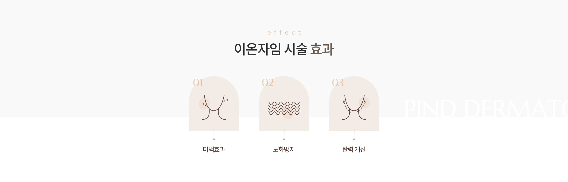 이온자임 상세02