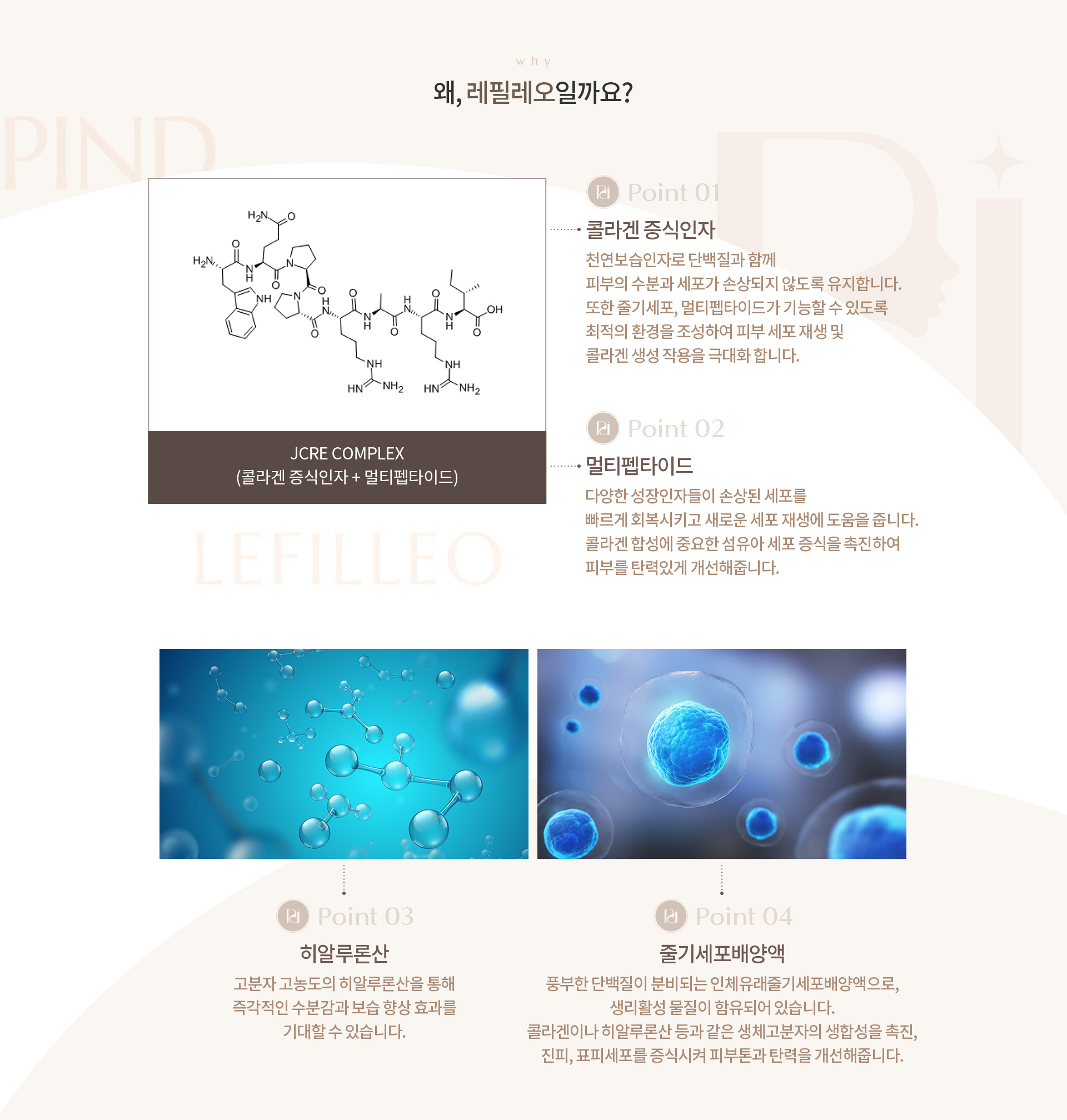 레필레오 상세03