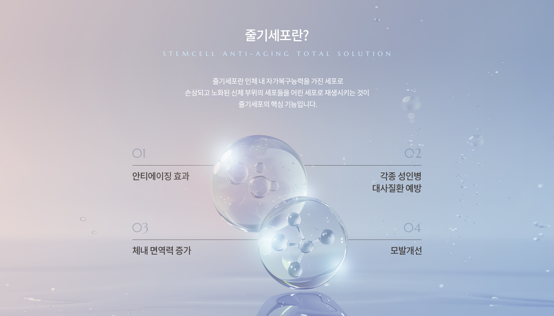 파인셀 상세01