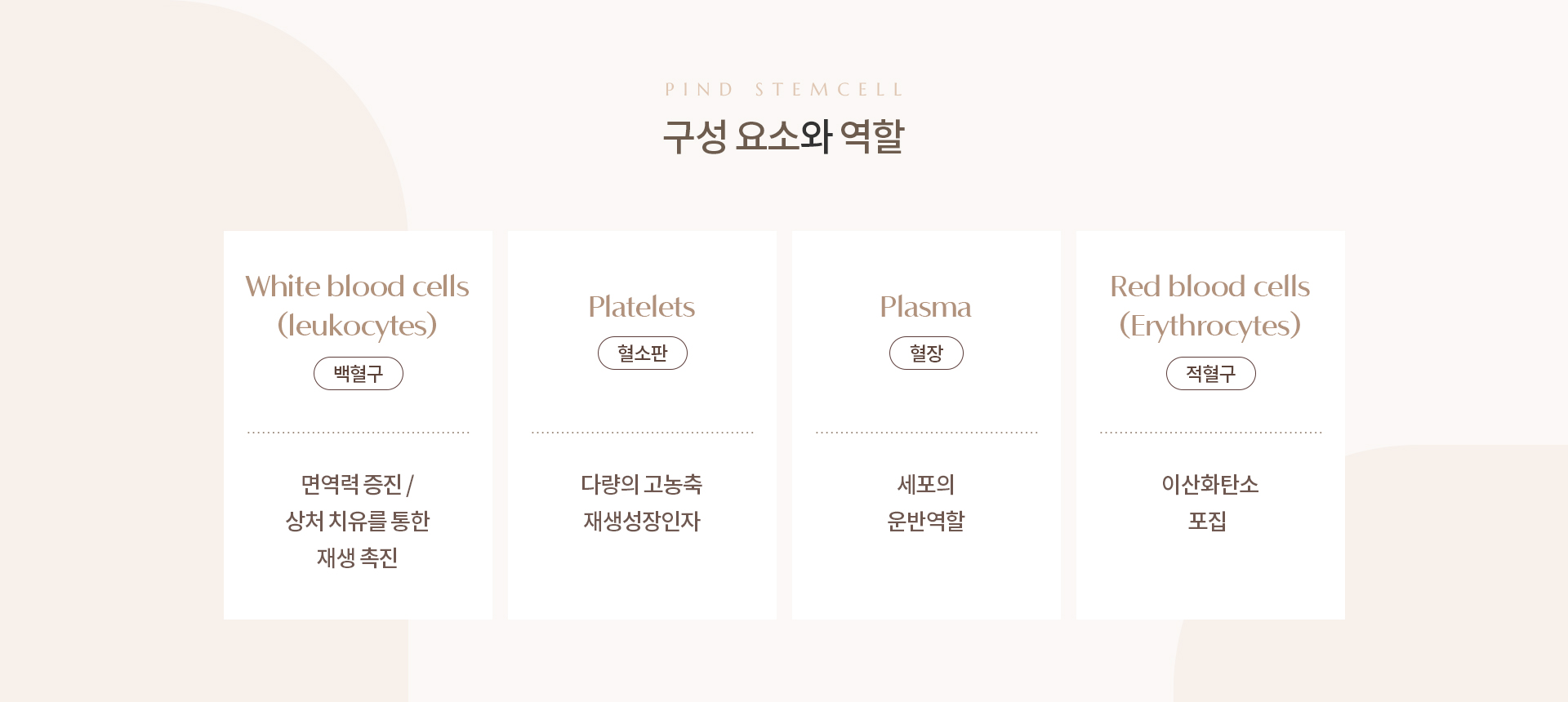 파인셀 상세08