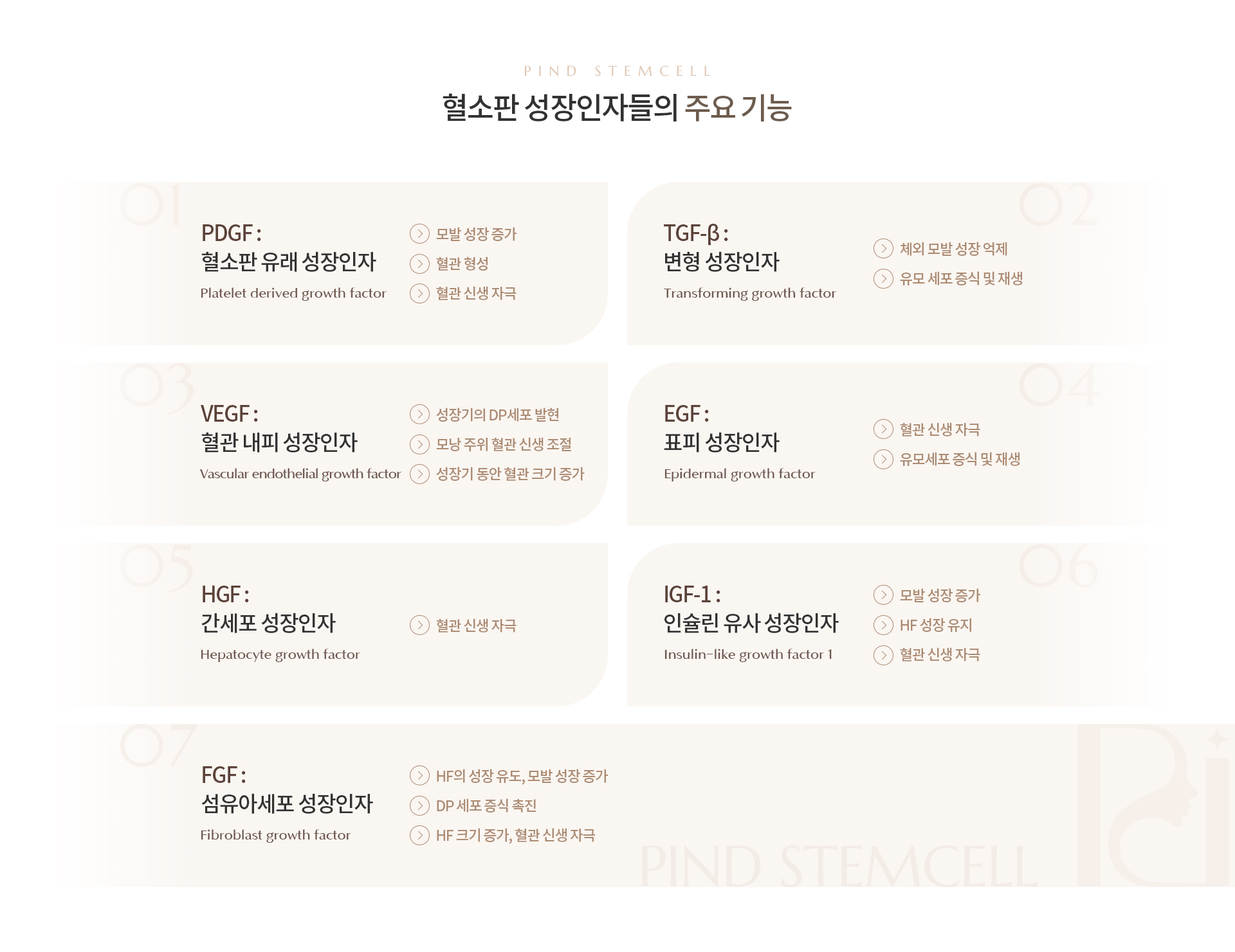 파인셀 상세09
