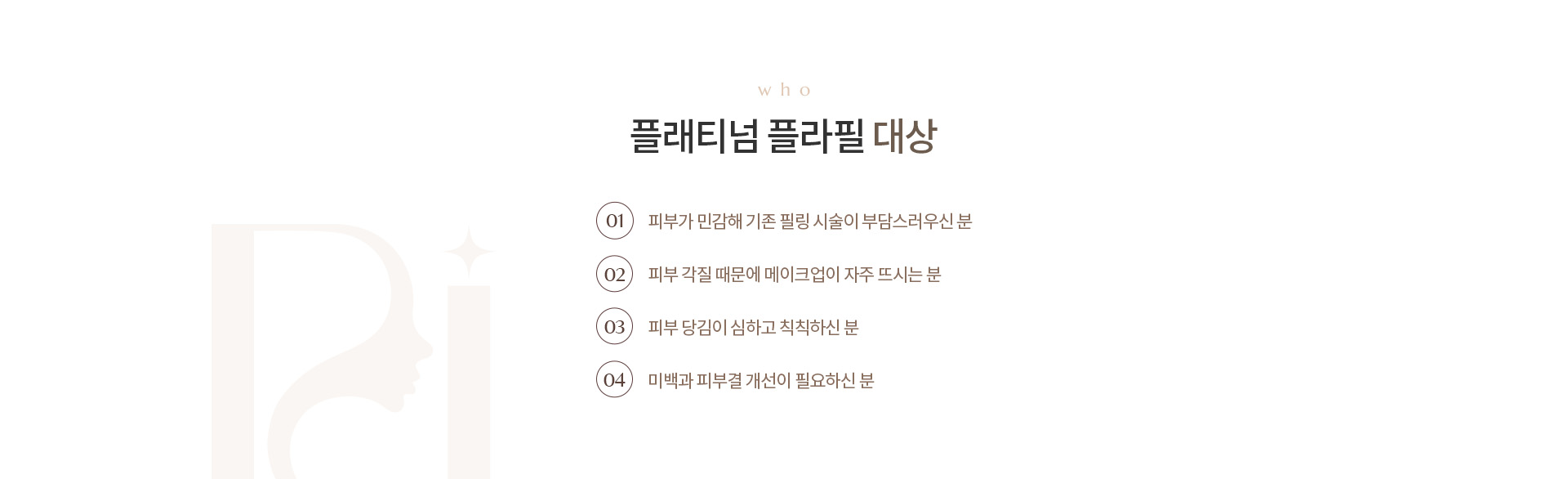 플래티넘 플라필 상세01