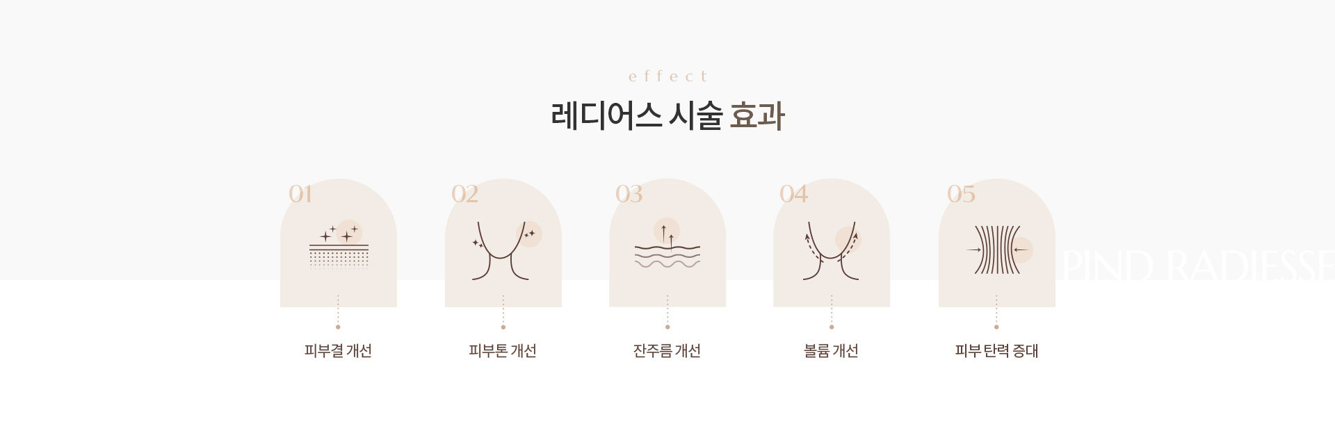 레디어스 상세02