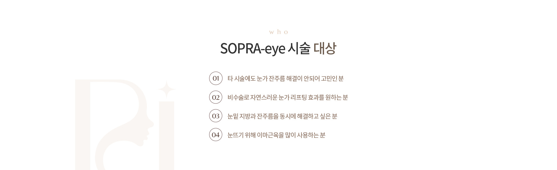 SOPRA-Eye 상세01