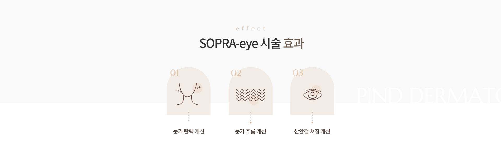 SOPRA-Eye 상세02