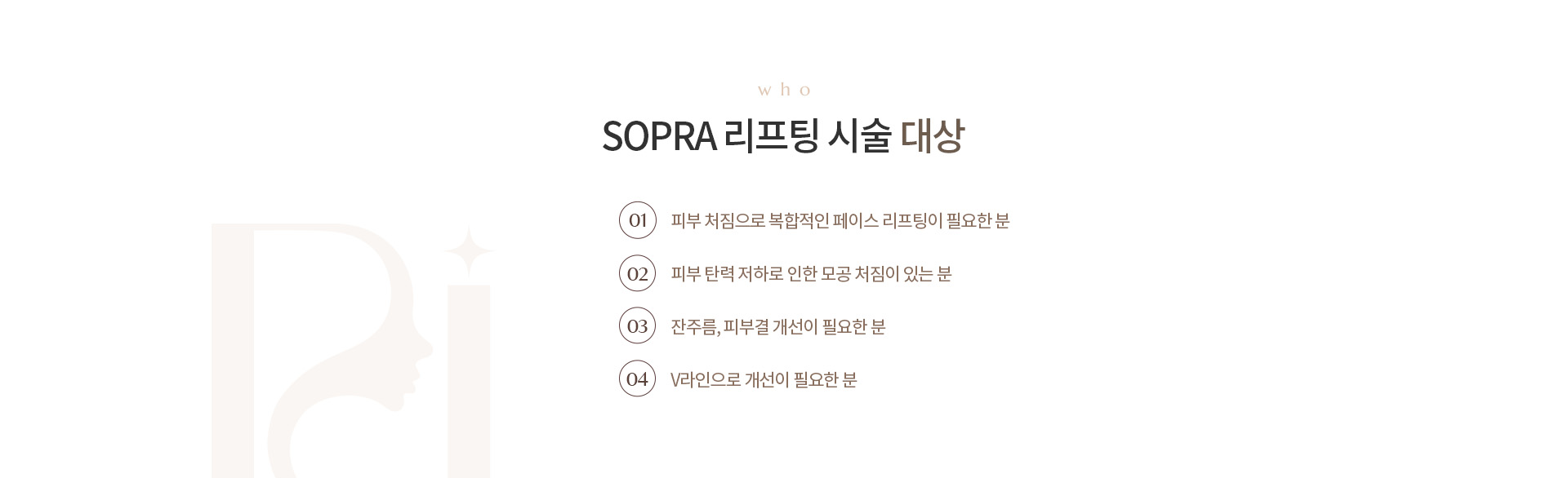 SOPRA 리프팅 상세01
