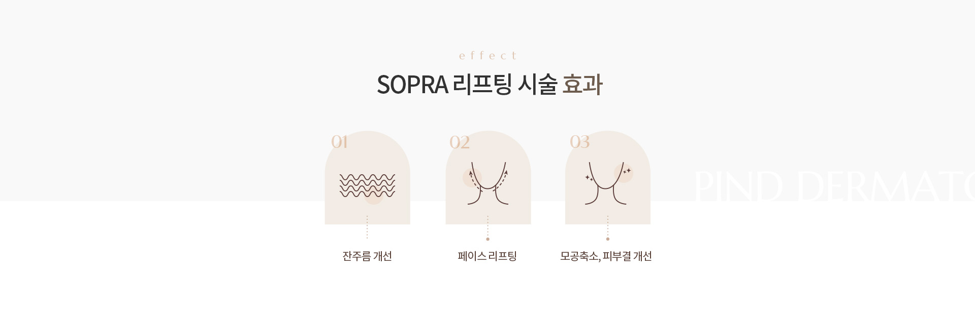 SOPRA 리프팅 상세02