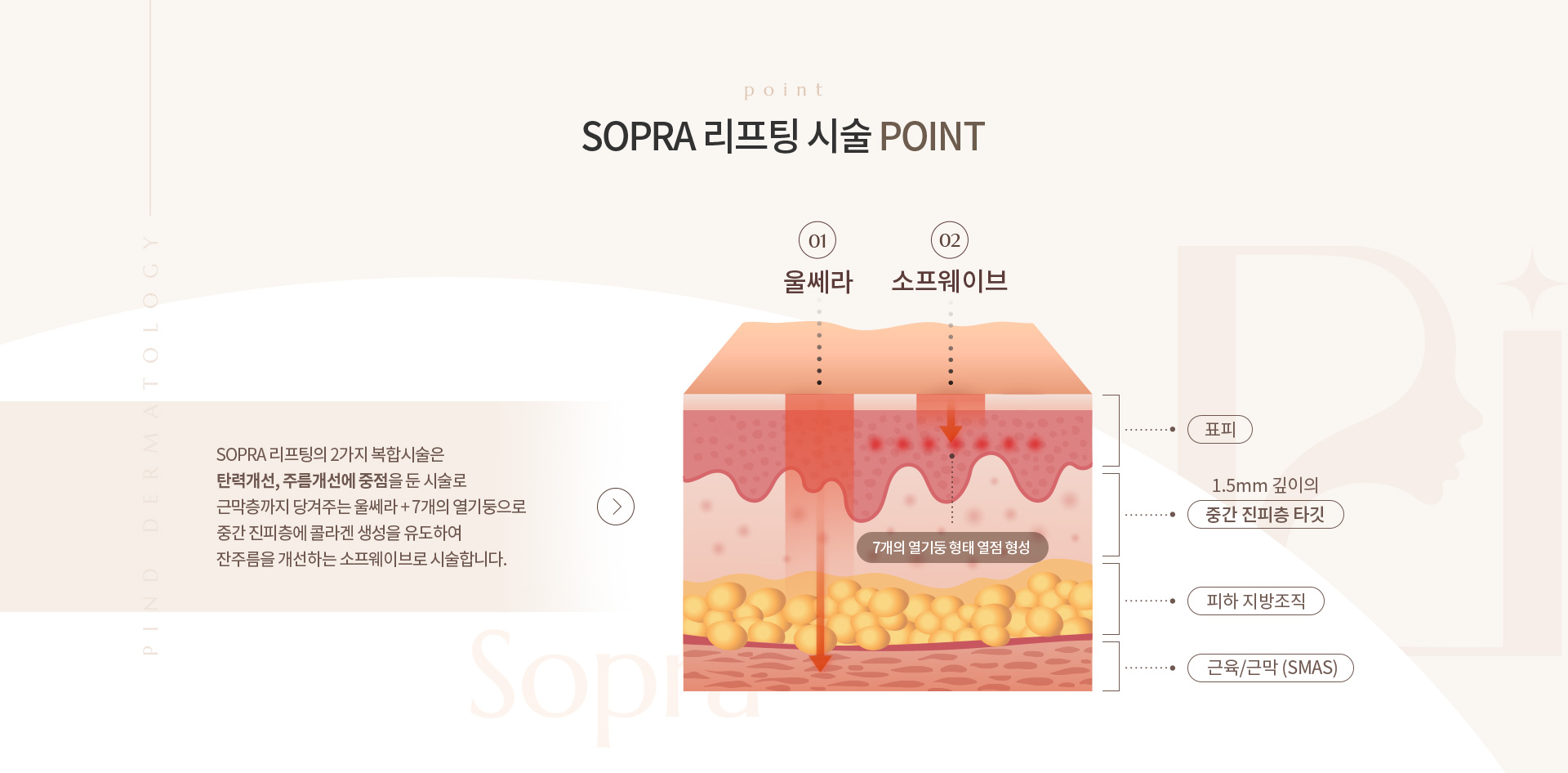 SOPRA 리프팅 상세04