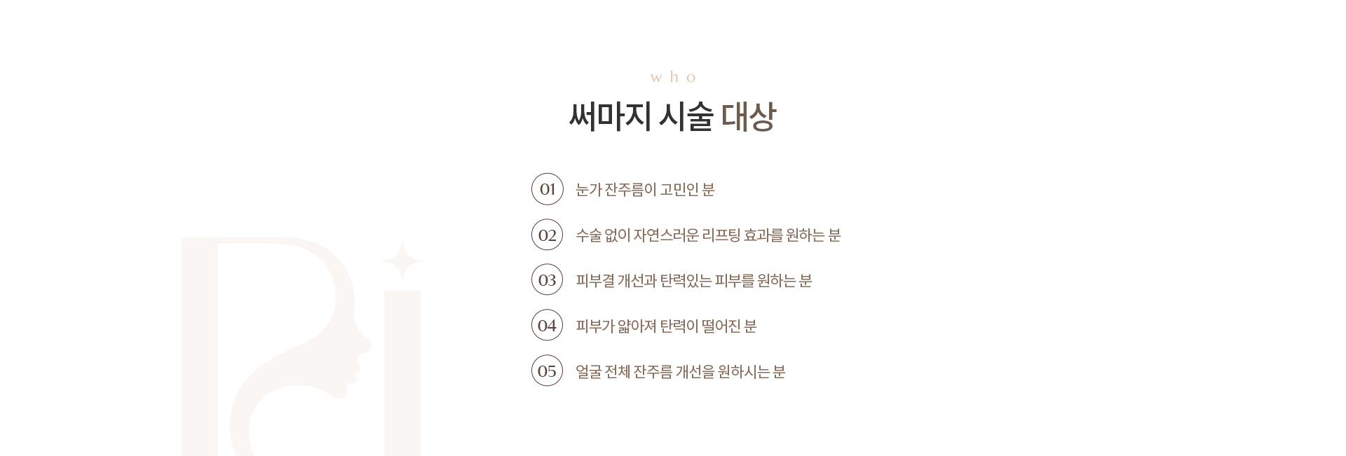 써마지 리프팅 상세01