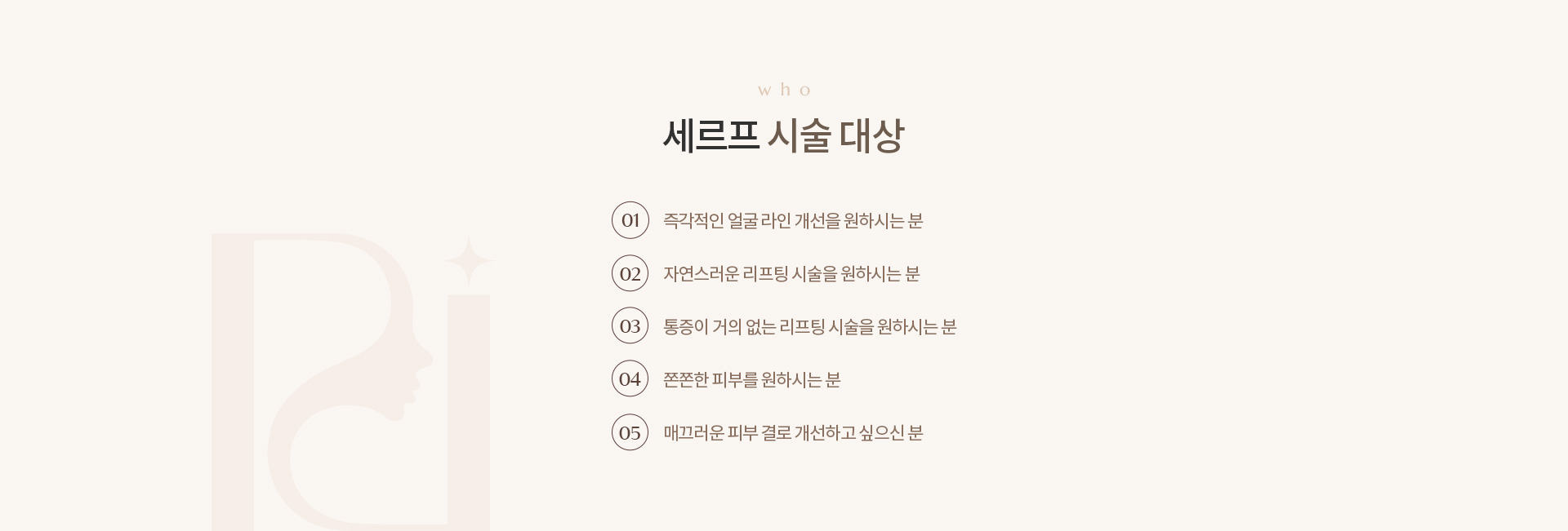 세르프 상세03